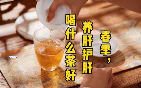 养心润肺护肝养生茶：真的有效吗？