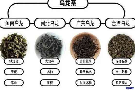 哪些茶属于乌龙生茶？了解乌龙茶的不同种类与特点