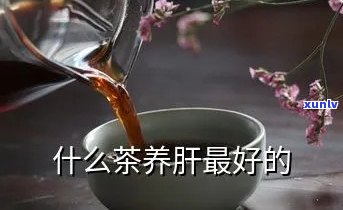 对肝和胆好的养生茶-对肝和胆好的养生茶有哪些