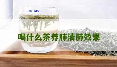 养肺清肺的养生茶配方大全