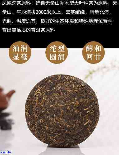 凤凰沱茶双眼皮生茶-凤凰沱茶是生茶还是熟茶