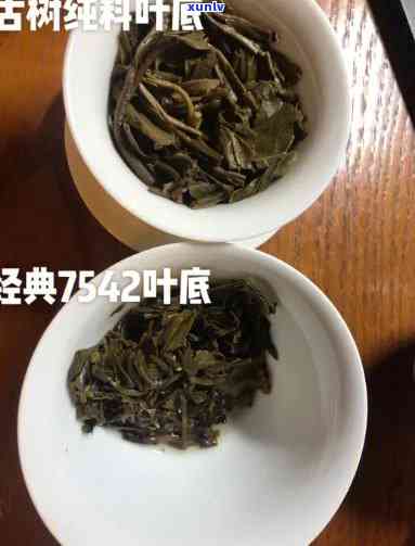 比7542好的生茶-比7542好喝的茶