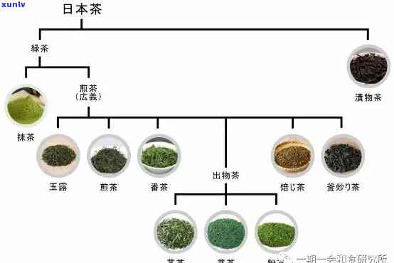 的生茶是什么茶叶？详解其种类和 ***  *** 