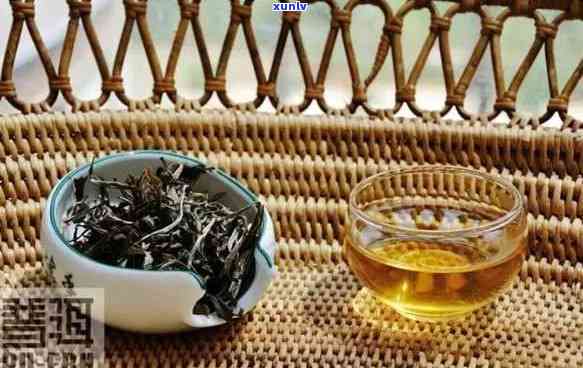 的生茶是什么茶类，探究生茶：它属于哪种茶类？