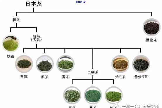 的生茶是什么茶种？详解其品种与特点