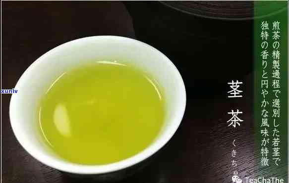 的生茶是什么茶种？详解其品种与特点