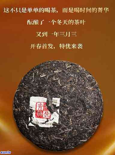 大茶仓0736生饼：系列精选，优质生茶，品味自然香