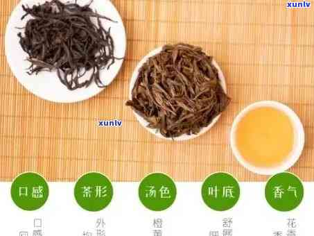 对身体好的茶有哪些？、品种全面解析！