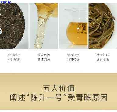 2019陈升号生茶-2020年陈升号新茶