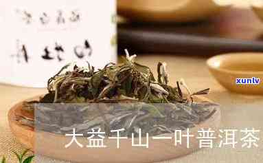 大益茶千山一叶生茶-大益茶千山一叶价格