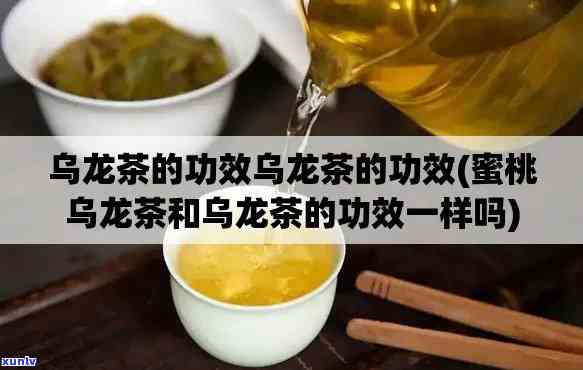 全面解析乌龙茶的作用：蜜桃乌龙茶的功效与作用