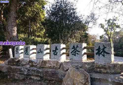 大理古树茶厂崇圣寺地址，探访云南大理古树茶厂崇圣寺：探寻千年茶文化的历遗迹