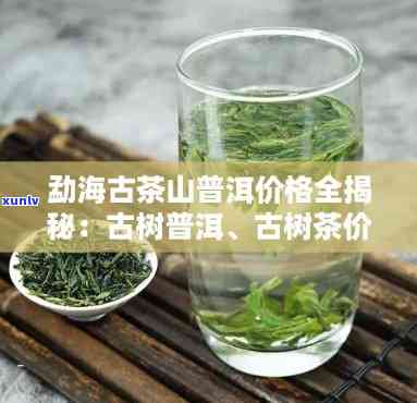 勐海布朗山老树茶价格，探寻云南茶叶珍品：揭秘勐海布朗山老树茶的价格与价值