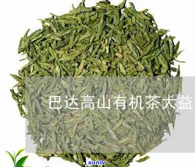 巴达高山有机茶价格及品质评价