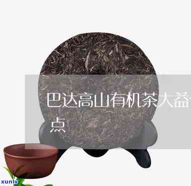 巴达高山有机茶价格及品质评价