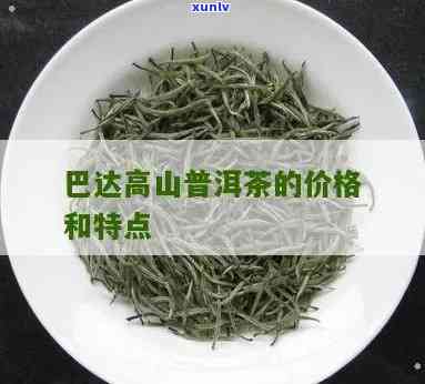 巴达高山有机茶价格及品质评价