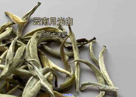 景谷月光白：什么茶？如何评价云南景谷的特色白茶？