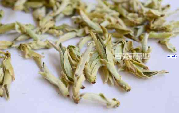 云南野生古树白芽孢-云南古树白芽孢散茶