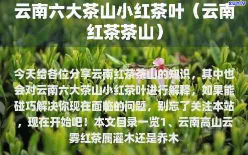 云南六大茶山茶业，探秘云南六大茶山：深度解析茶叶种植与生产