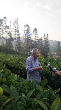 平安保单贷逾期上海-平安保单贷逾期上海能贷款吗