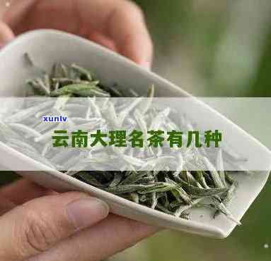 云南大理有什么茶？探索当地特色茶叶及其特产