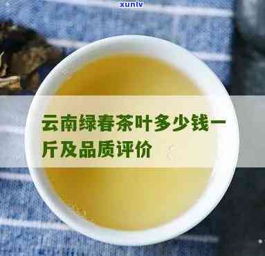 云南春茶品种及价格全解析，一斤多少钱？