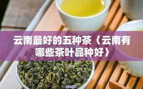 云南的茶有哪些品种-云南的茶有哪些品种名称