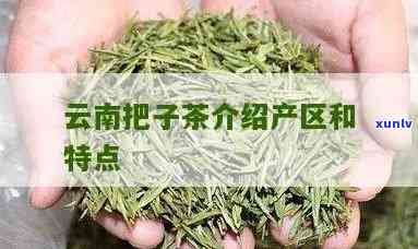 云南把把茶：种类、 *** 方式及特色介绍