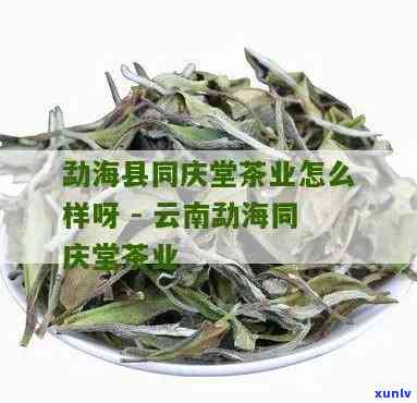 勐海县同庆堂茶业，探索云南勐海县的同庆堂茶业：品味正宗普洱茶的魅力