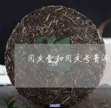 云南勐海同庆堂茶业-云南勐海同庆堂茶业尘封