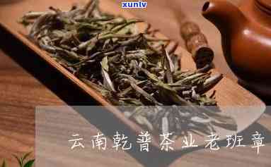 云南省乾普茶业，探秘云南省乾普茶业：传统与现代的完美结合_普洱茶_邮箱网