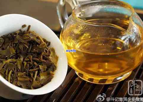 云南斗记普洱茶价格全览：最新价格表及参考价