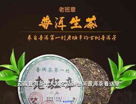 云南奢益茶业怎么样-云南奢益茶业怎么样啊