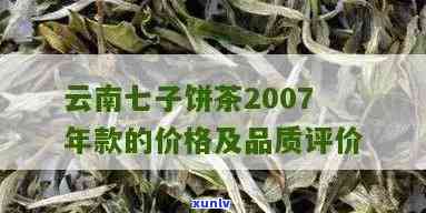 云南七子茶饼怎么样-云南七子茶饼怎么样晾晒?