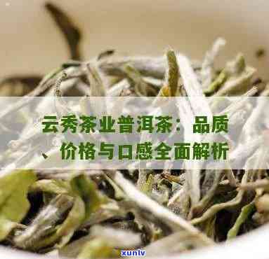 云南润秀茶业怎么样知乎？全面评测解析！