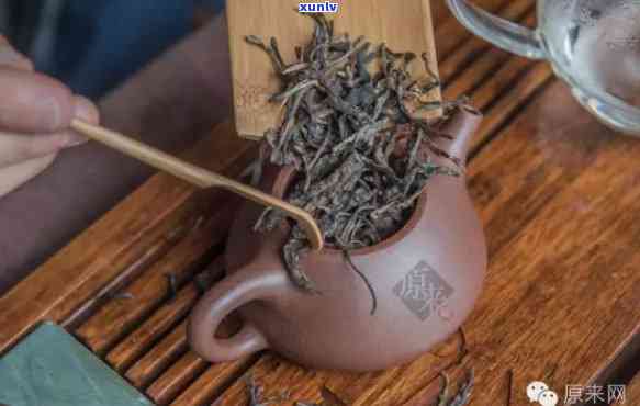 古树茶用什么茶壶泡，揭秘古树茶的冲泡工具：哪种茶壶最适合？