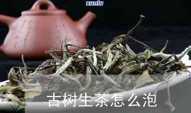 古树茶用什么茶壶泡-古树茶用什么茶壶泡