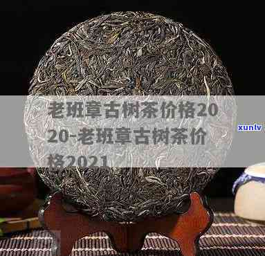 班盆古树茶2020秋茶价格表，《最新出炉！班盆古树茶2020秋茶价格表全解析》