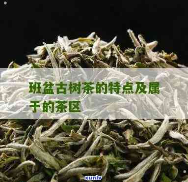 班盆古树茶是什么茶-班盆古树茶的特点口感