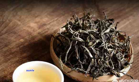 玉林古树茶是什么茶叶，「玉林古树茶」是一种什么样的茶叶？