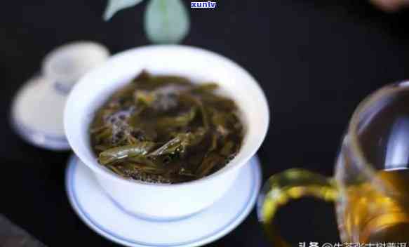 玉林古树茶是什么茶叶，「玉林古树茶」是一种什么样的茶叶？