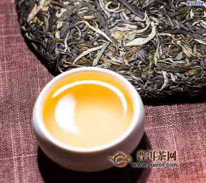 帕沙古树茶是什么茶-帕沙古树茶是什么茶区