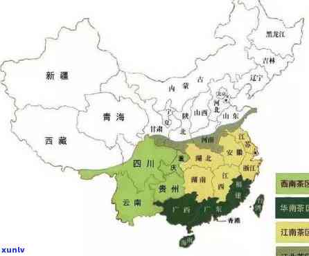 忙麓山：什么产区？所属哪个茶区？