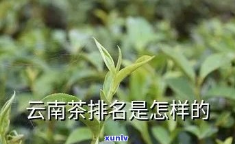 信用卡逾期分期还款后额度恢复安全吗？如何处理？