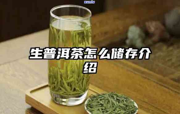 快速提升生茶转化率：存放 *** 与技巧