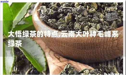 大叶种毛茶的品质特点，大叶种毛茶：品质特点解析