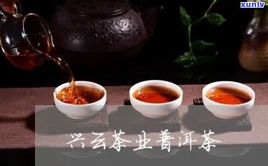 云南云兴茶业本味-云兴茶厂