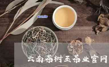 云南茶树王茶业官网-云南茶树王茶业官网