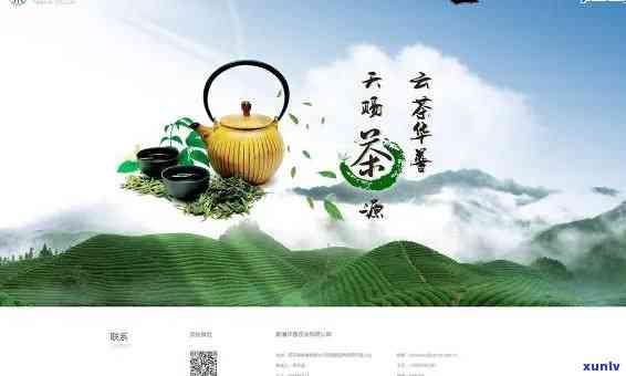 云南一品堂茶业官网首页：一站式茶叶信息查询平台