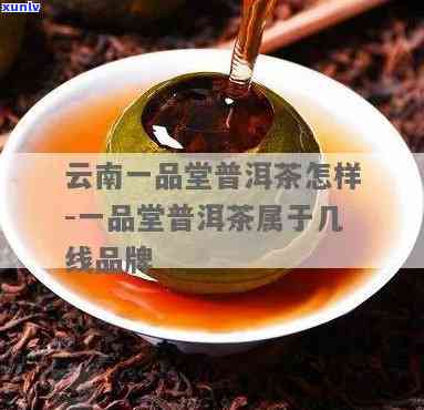 云南一品堂茶业官网 *** ，一品堂茶业云南总部诚聘英才，欢迎加入我们的团队！